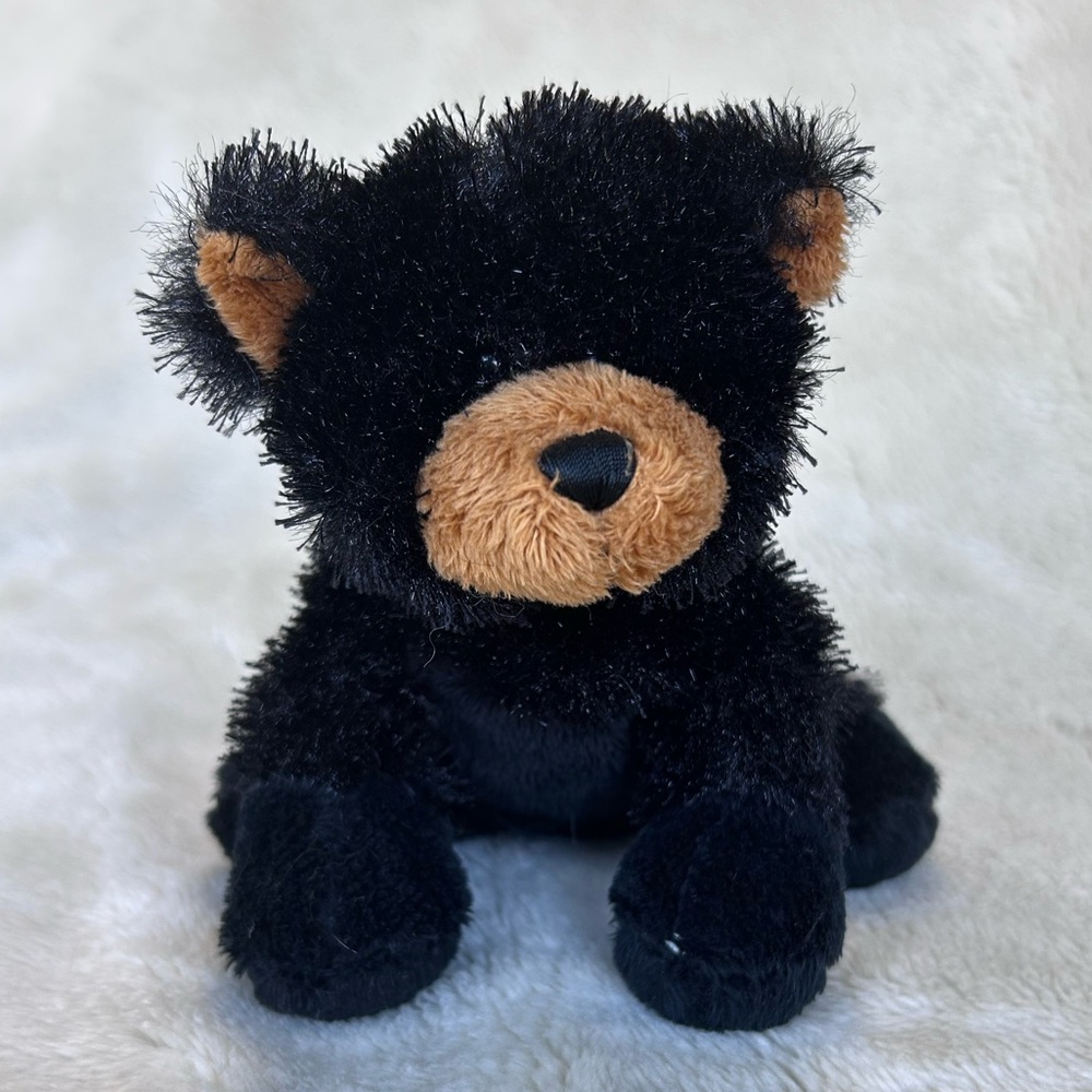 Ganz Webkinz  little Black Bear